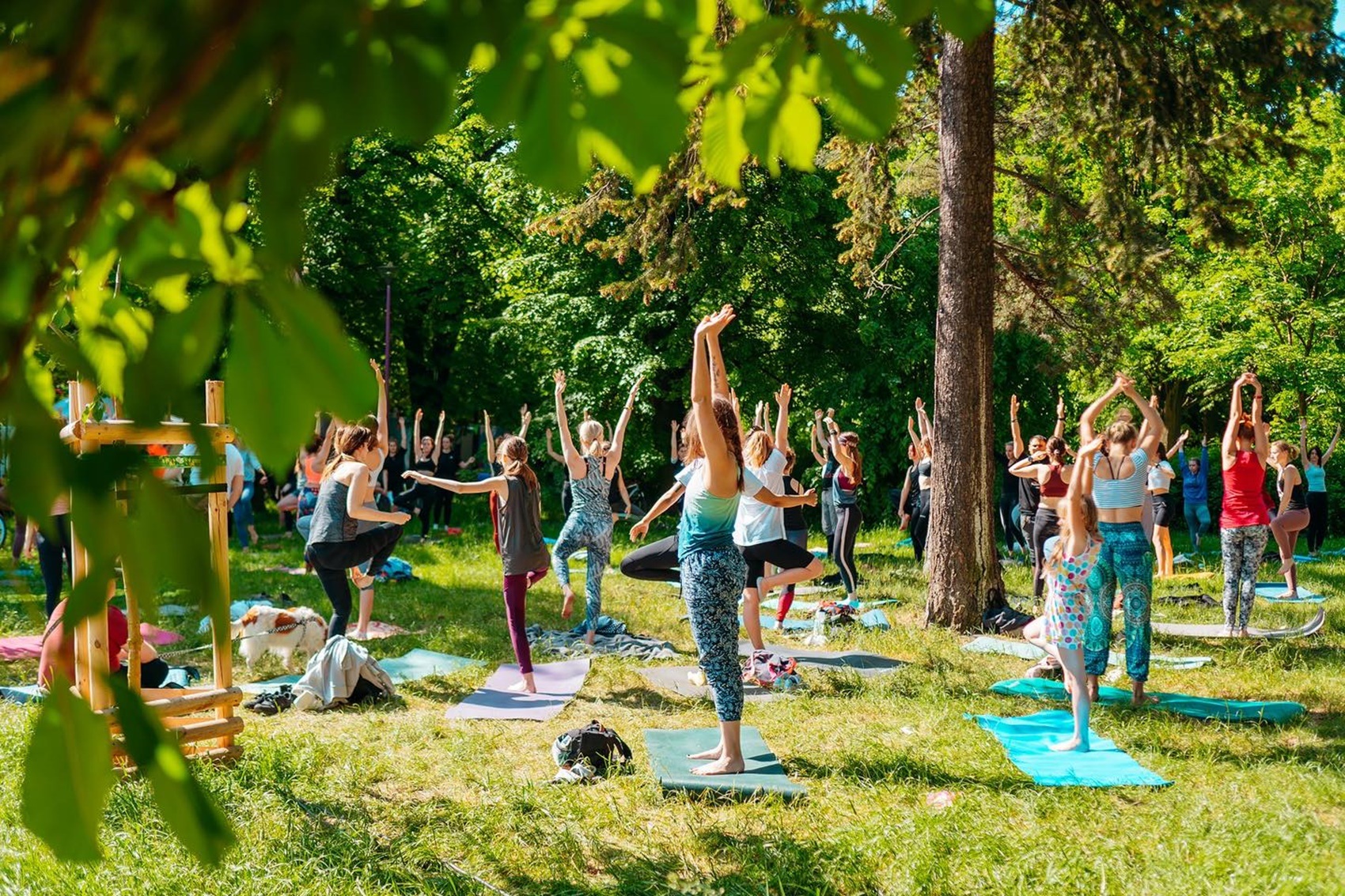 Joga pod chmurką