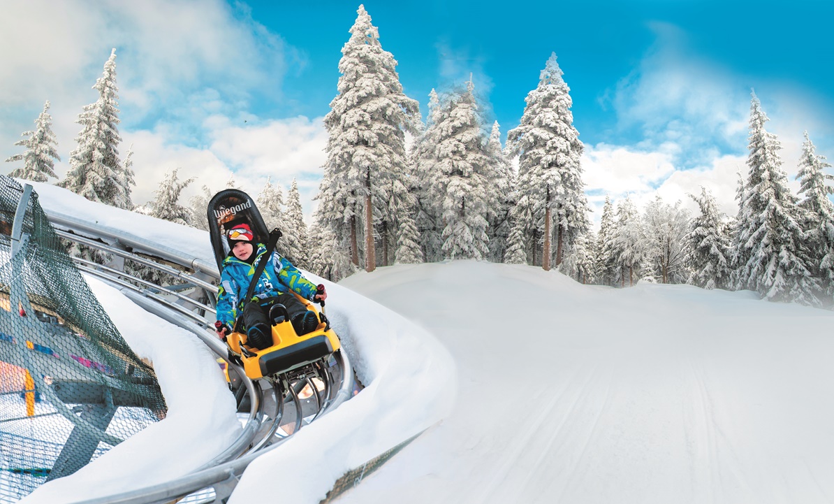 Alpine Coaster Czarna Żmija w Siennej, fot. UM Śtronie Śląskie