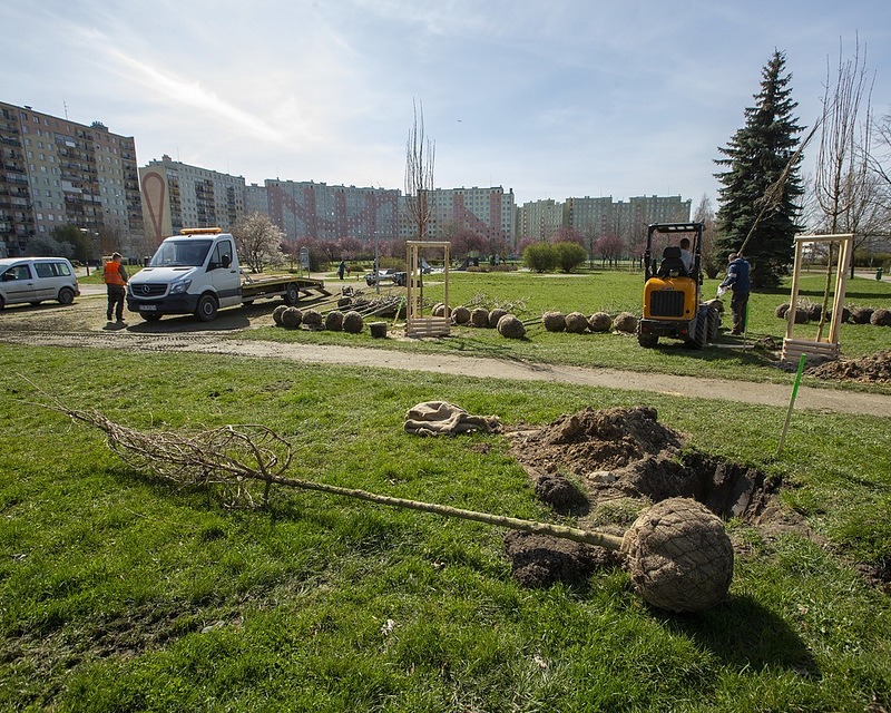 Nasadzenia drzew w Parku Slonecznym w ramach Wrośnij we Wrocław
