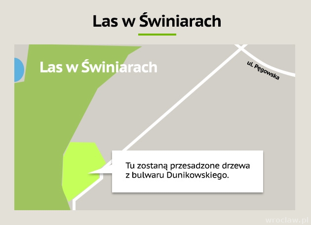 Las w Świniarach