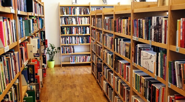Biblioteka na Lipie Piotrowskiej
