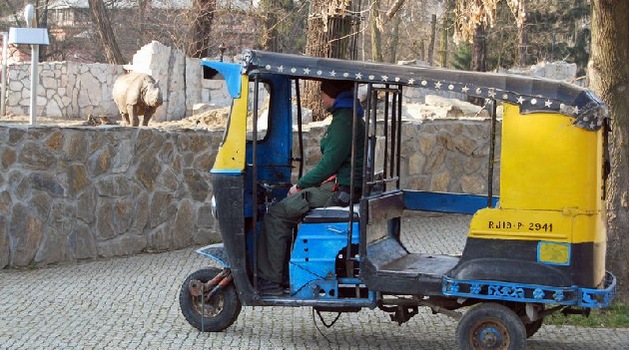 Tańsze bilety do zoo do końca marca | www.wroclaw.pl