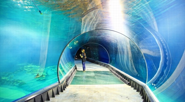 Afrykarium Wrocław otwarcie. Cennik, godziny otwarcia | www.wroclaw.pl