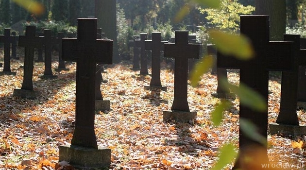 Rozpoczyna się gorący okres porządkowania grobów i cmentarzy