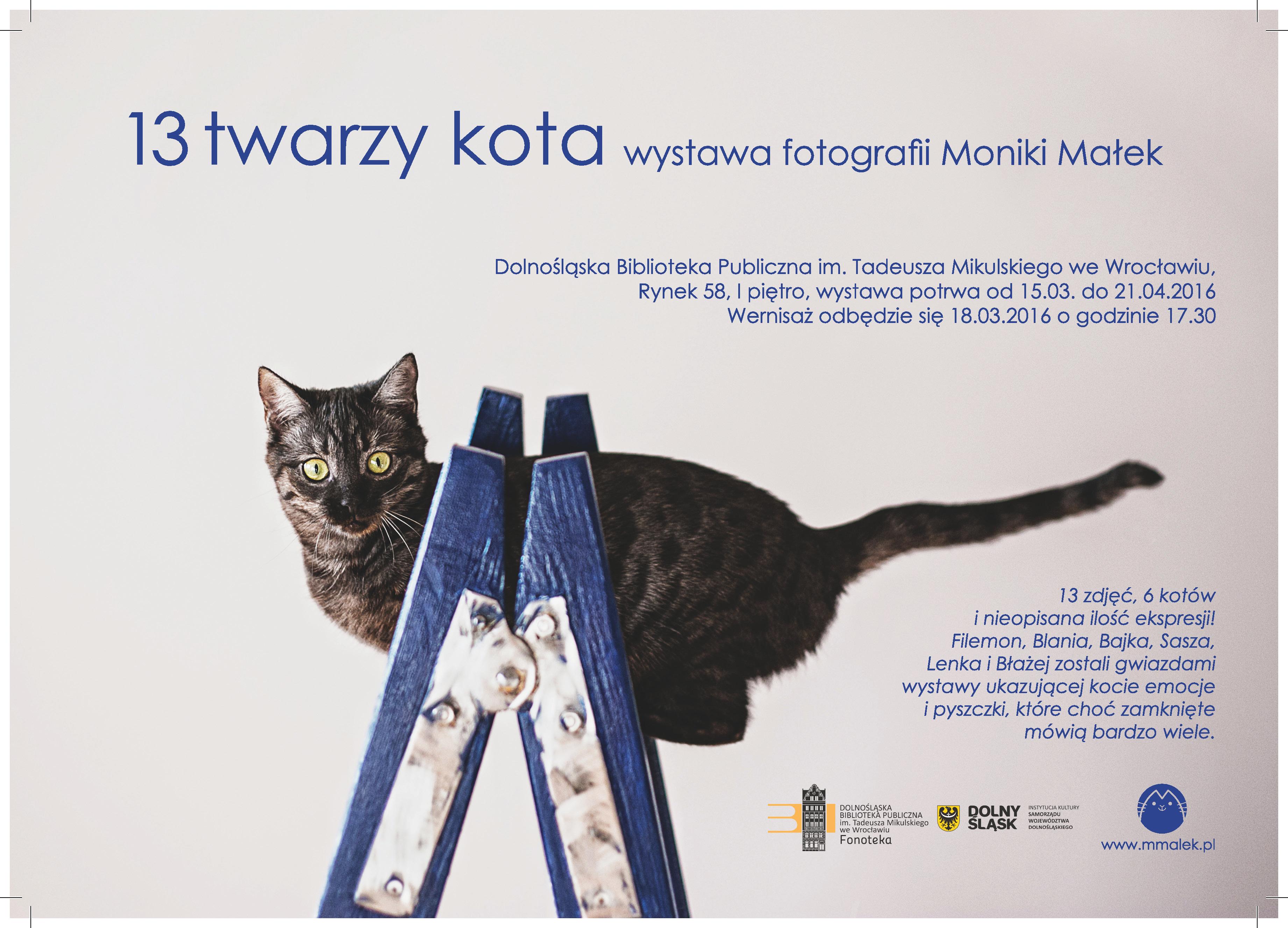 13 twarzy kota – Wystawa fotografii Moniki Małek