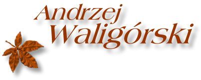 Waligóriada 2016