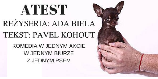 Spektakl komediowy „Atest” - Teatr Ej Aj kończy sezon