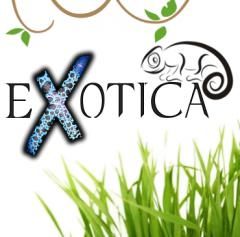EXOTICA - giełda zwierząt egzotycznych w NOT