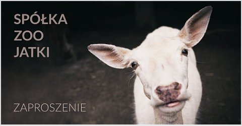 Dni Wrocławia 2016 – Zwierzęta na Jatkach