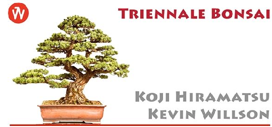 Triennale Bonsai Wrocław 2016