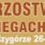 Mistrzostwa Polski w biegach górskich