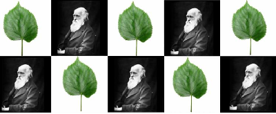 Dni Darwina na UWr