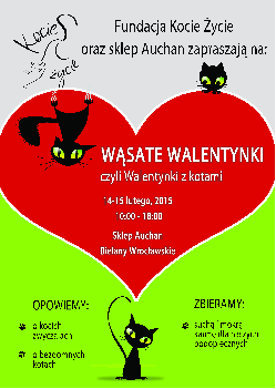 Czyli Walnetynki z kotami