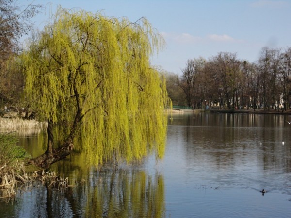 Zajecia dla dzieci w Muzeum Narodowym