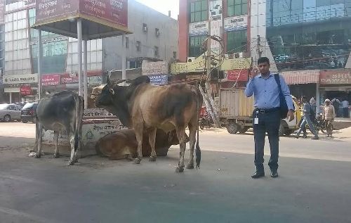Wędrówki po Indiach – spotkanie z Eweliną Czekaj