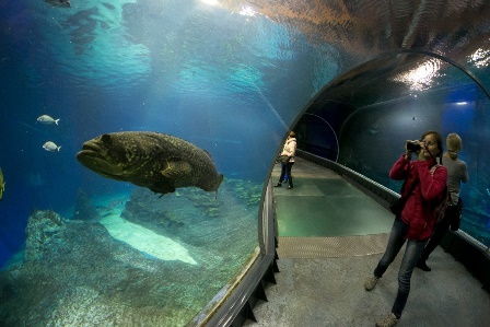 Afrykarium we wrocławskim zoo