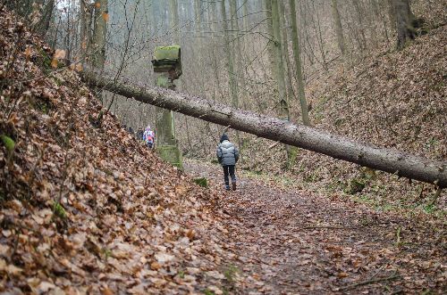 Wędrówki przeróżne – od Barda aż po Azję