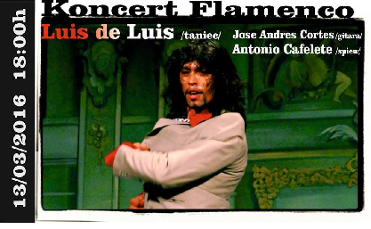 Koncert Flamenco w Synagodze Pod Białym Bocianem