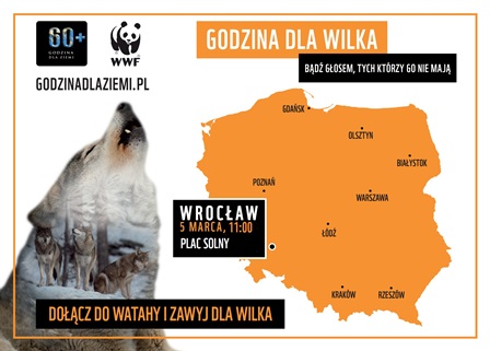 Zawyj dla wilka – akcja społeczna na placu Solnym