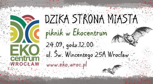 Dzika strona miasta. Piknik i warsztaty w EkoCentrum