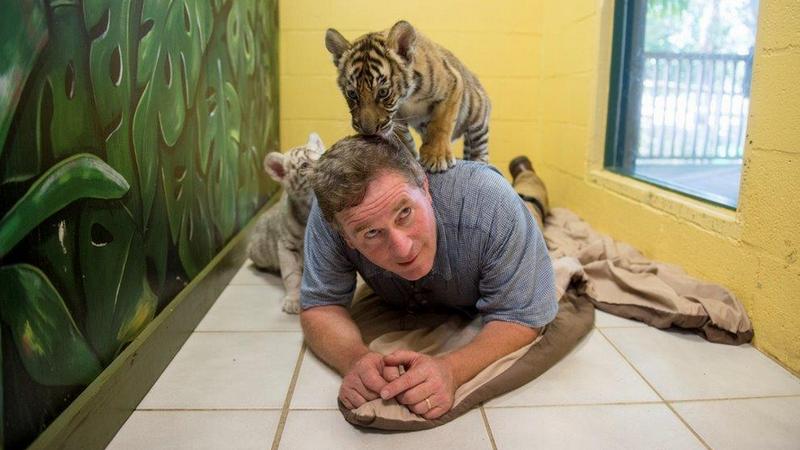 Joel Sartore sfotografował 70 gatunków zwierząt z Wrocławia do swojej "Arki", fot. ZOO Wrocław