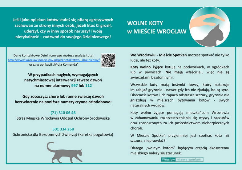 Wolne koty w mieście Wrocław - ulotka