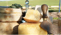 Dwudniowe warsztaty serowarskie i chlebowe