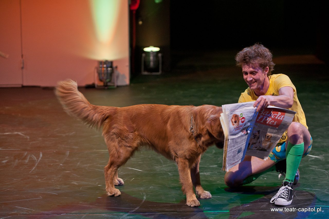 www.teatr-capitol.pl