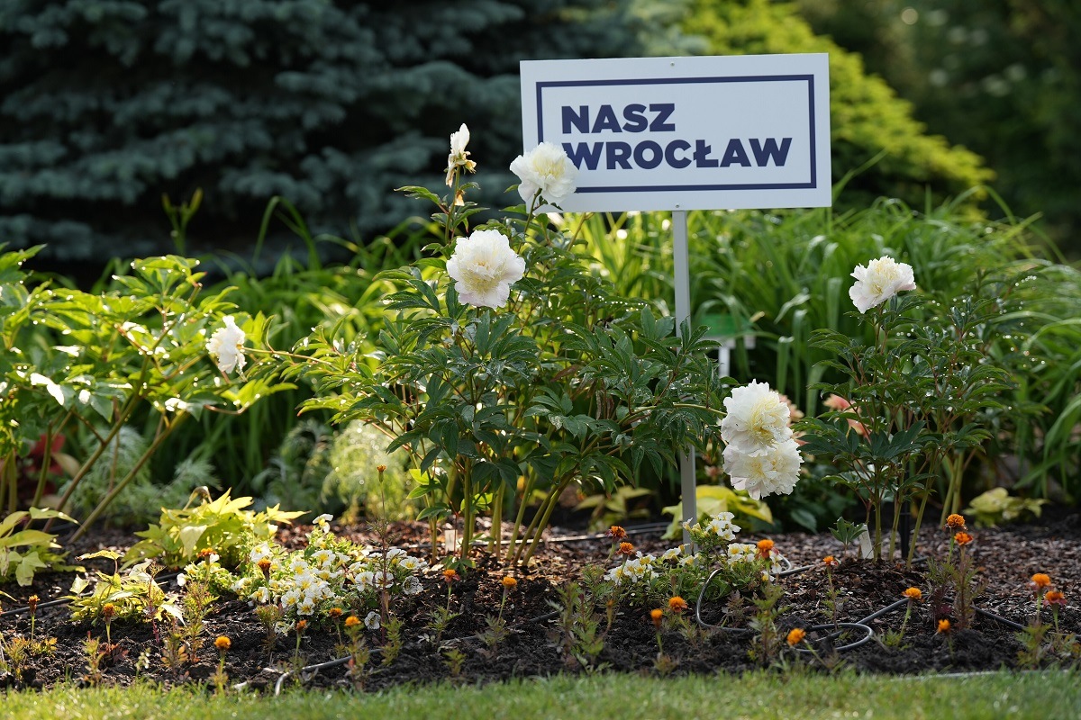 Grafika dotyczy programu Nasz Wrocław