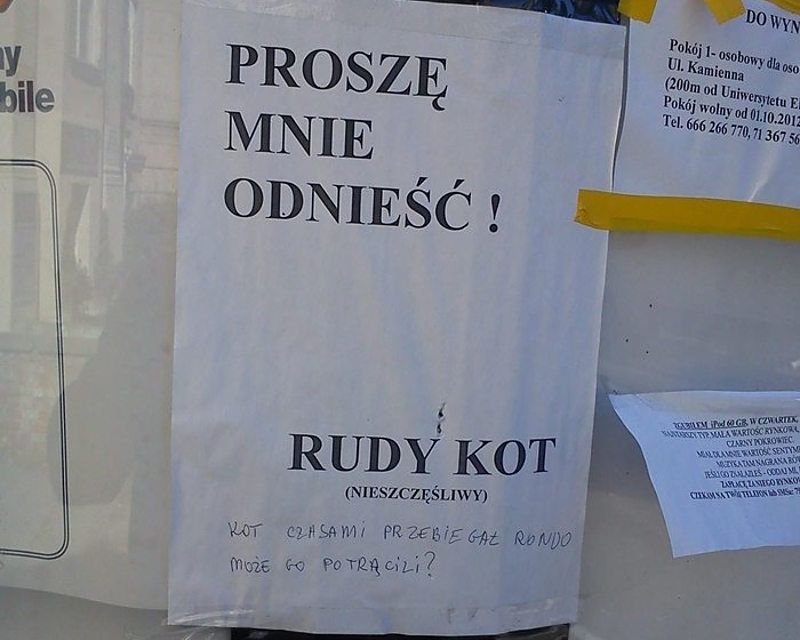 Street advertising, Krzyki, Wrocław, about 2010, photo: personal archive