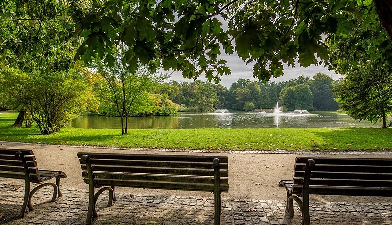 Ławeczki w Parku Południowym, który Różewicz chętnie odwiedzał/fot. Tomasz Hołod