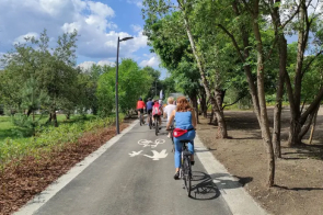 Na zdjęciu ścieżką rowerową jedzie grupa rowerzystów, a obok nich rosną drzewa.