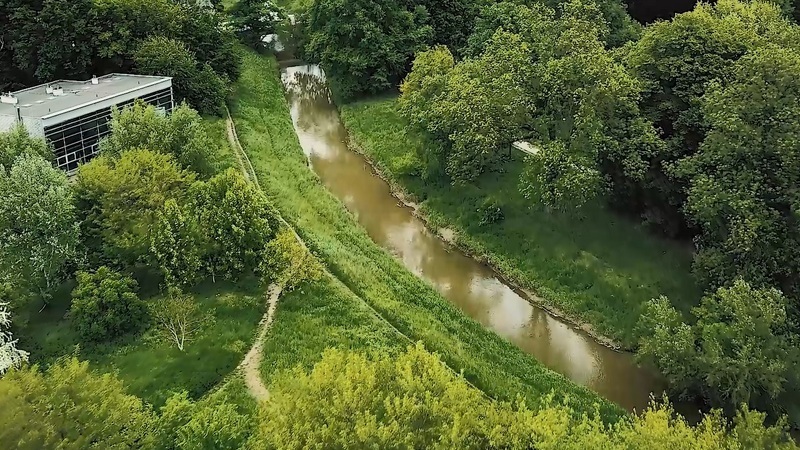 rzeka Ślęza w parku Klecińskim