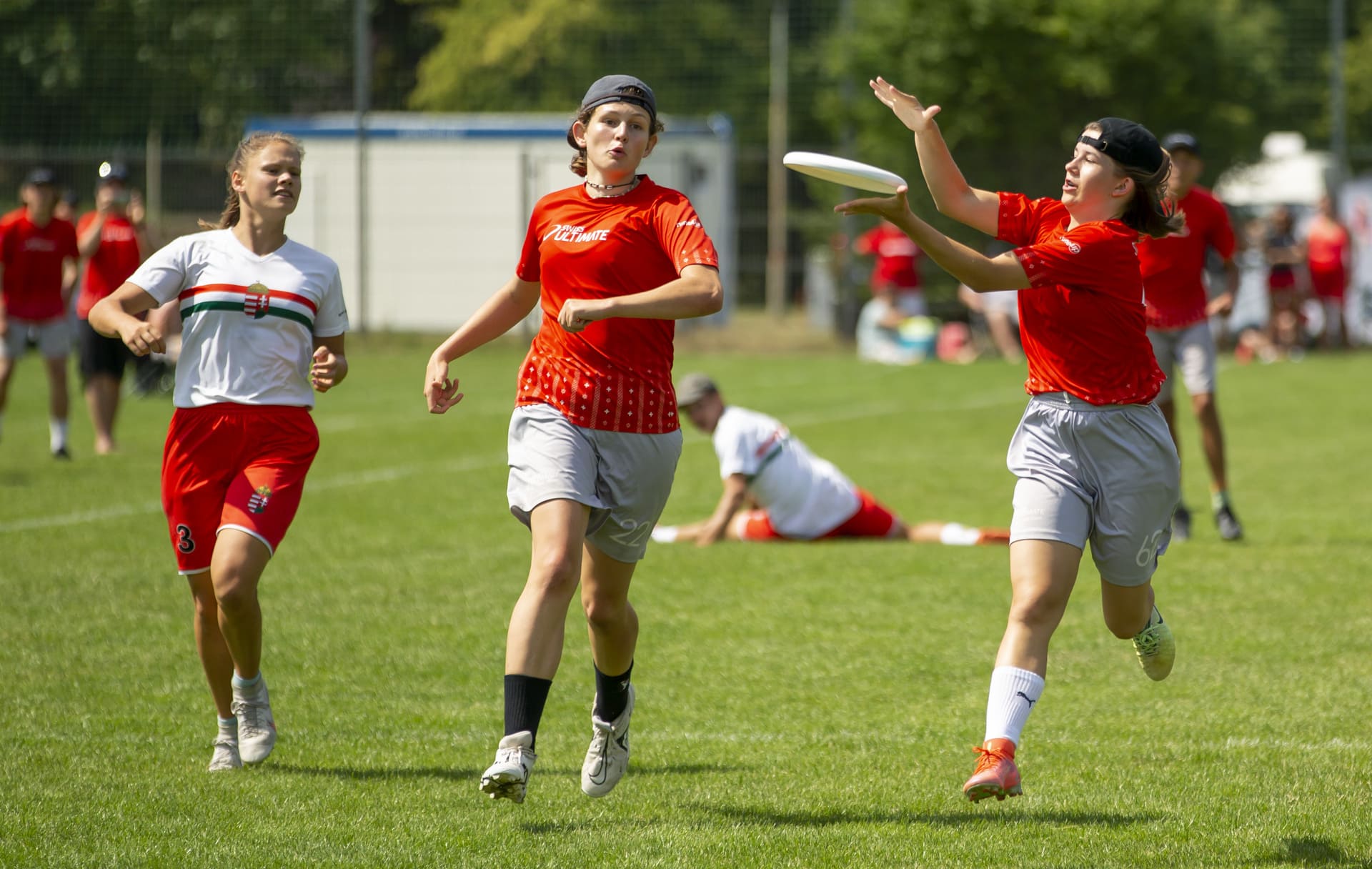 We Wrocławiu trwają międzynarodowe zawody w Ultimate frisbee