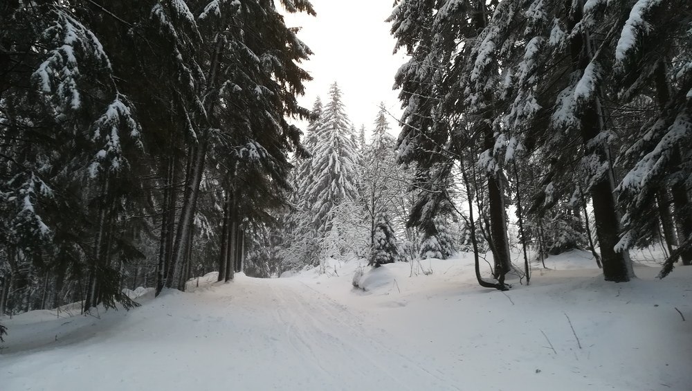 Pec pod Śnieżką