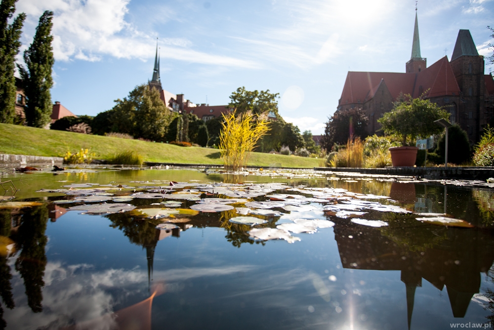Tym żył Wrocław w mijającym tygodniu. Podsumowanie wydarzeń - 17 kwietnia