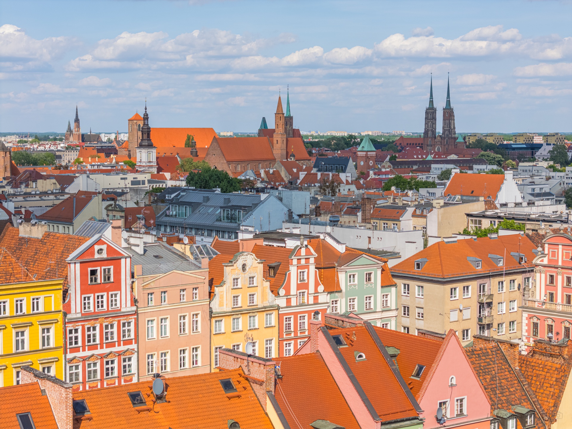Tym żył Wrocław w mijającym tygodniu. Podsumowanie wydarzeń - 6 czerwca 