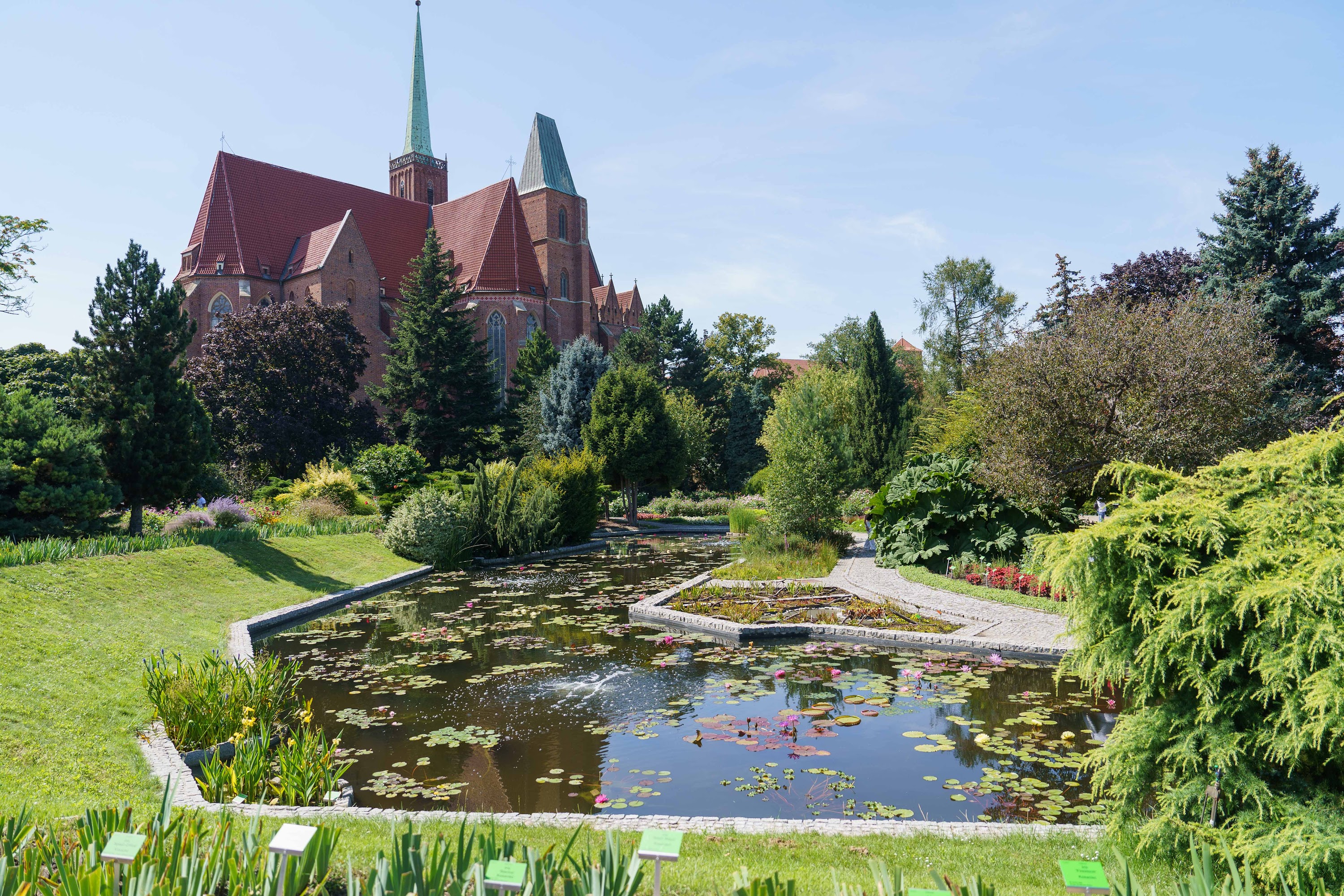 Tym żył Wrocław w mijającym tygodniu. Podsumowanie wydarzeń - 4 lipca