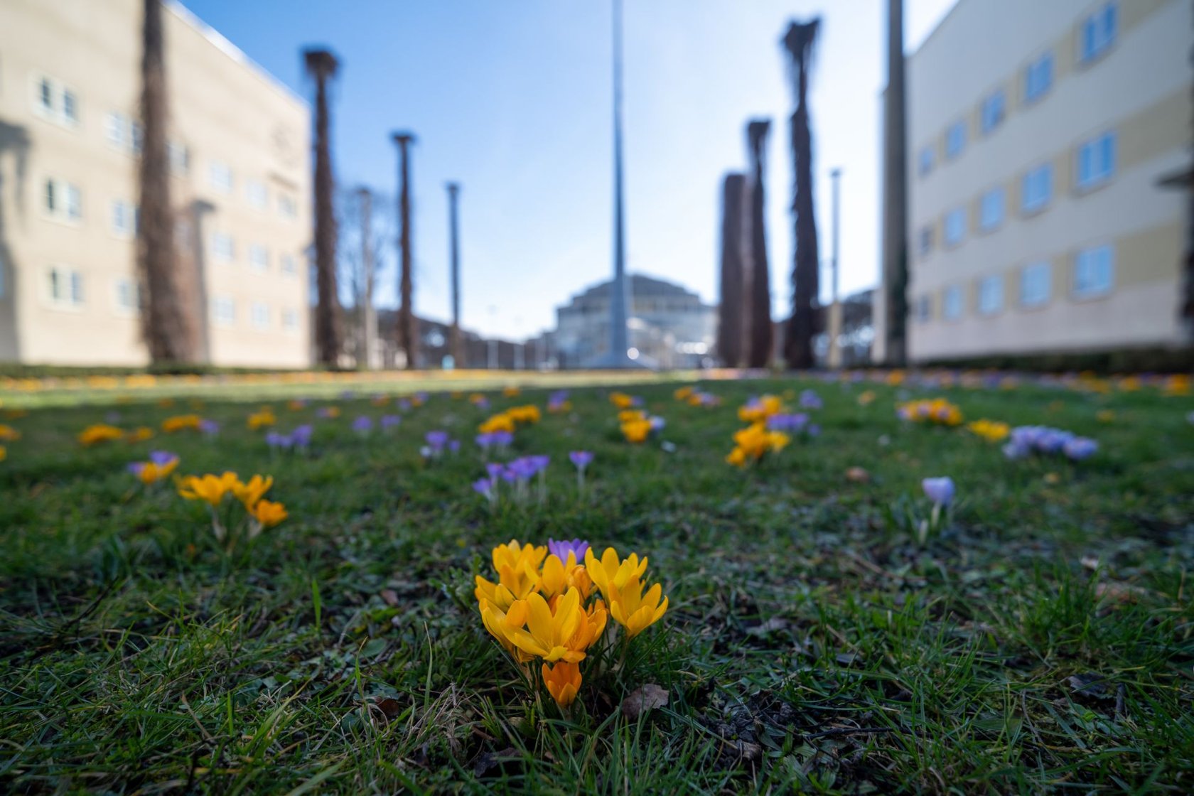 Tym żył Wrocław w mijającym tygodniu. Podsumowanie wydarzeń - 6 marca