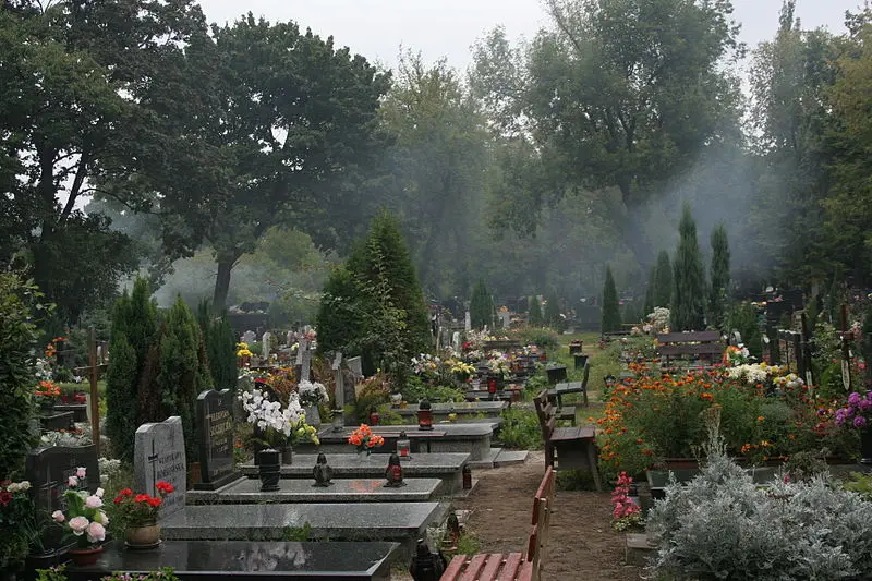 wycięcie drzewa na cmentarzu i usunięcie ławki na cmentarzu przepisy 