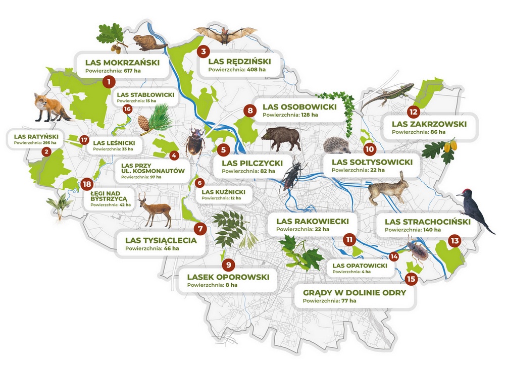 Mapa lasów we Wrocławiu