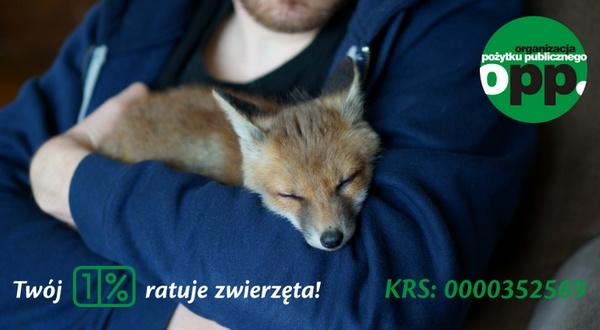ekostraż